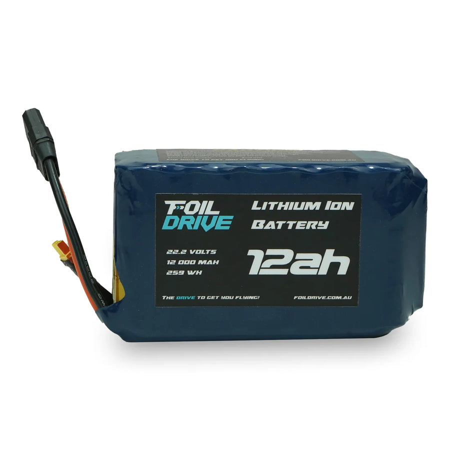 ASSIST 22V BATTERY 12AH
